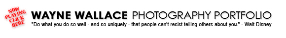 Wayne Wallace Photography